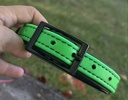 collier pour chien quincaillerie noire